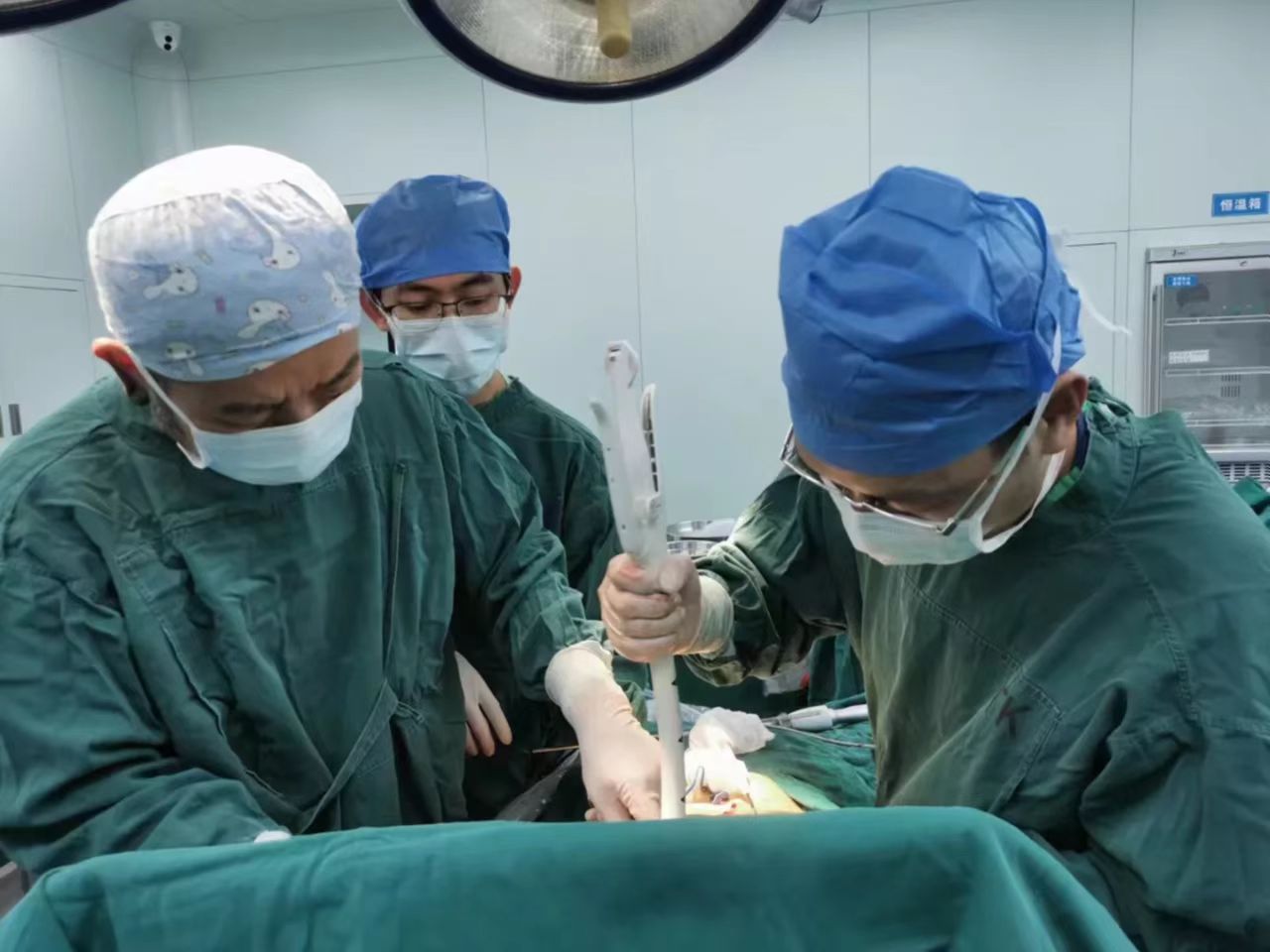 static/picture/20230410175202_1.jpg static/picture/20230410175202_1.jpg