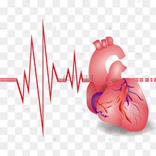 心腦功能(néng)科（心電診斷、腦電及腦血流圖診斷、神經(jīng)肌肉電圖）